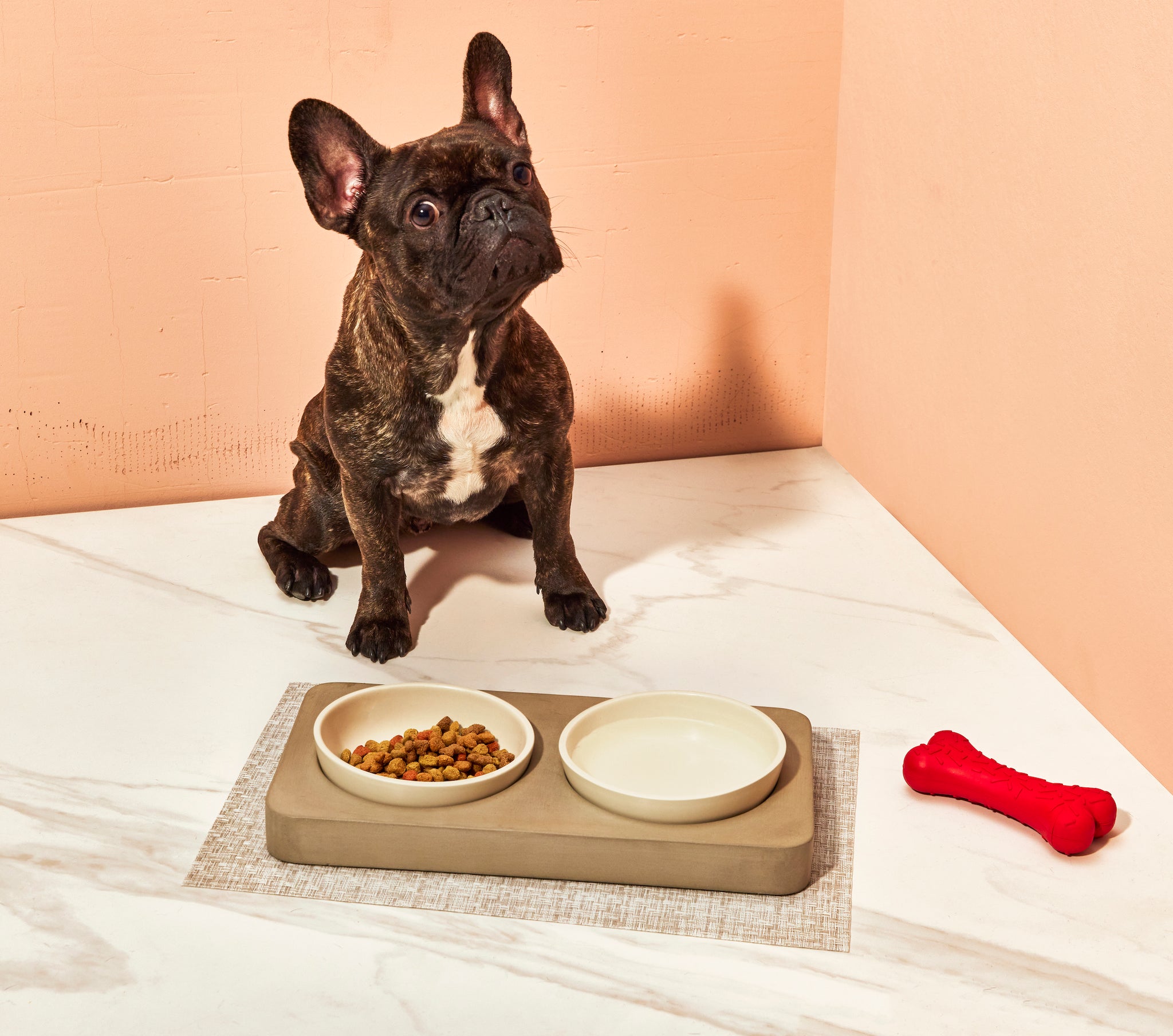 Small Pet Bowl in Slate Felt Fat